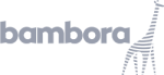 bambora-logo-grey